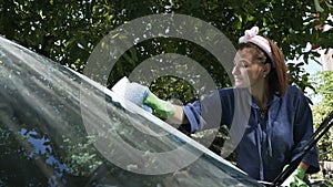 Woman wipes car windshield with blue sponge in the yard of her house in summer