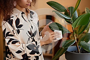 Woman wiping green leaves