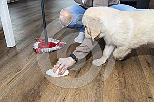 A woman wiping piss on a puppy off modern water resistant vinyl panels with a paper towel and mop, next to a disturbing puppy.