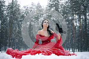 Žena čarodejnice v šaty havran v jej ruka sedí na sneh v 
