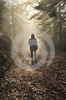 Woman in the woods. tourist walking in the misty autumn forest