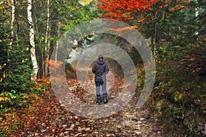 Woman in the woods. tourist walking in the misty autumn forest