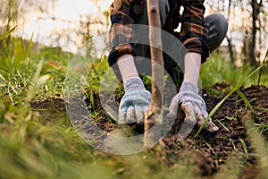 a woman in work gloves planting a young tree in the garden. Photograph without a face