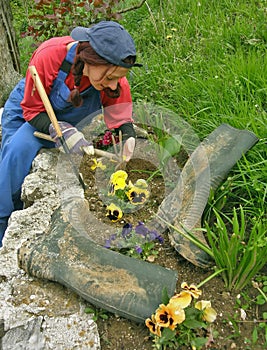 Woman (worker) cultivated flower gardens photo