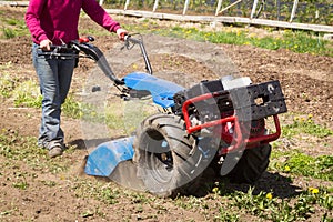 Woman worker driving rototiller tractor unit preparing soil seed photo