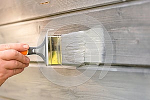 Woman worker painting wooden house exterior wall with paintbrush and wood protective color photo