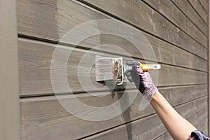 Woman worker painting wooden house exterior wall with paintbrush and wood protective color