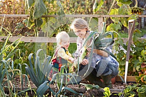 Woman working on allotment with child