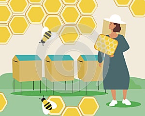 Woman working in an apiary with bees, Flat vector stock illustration with rescuing bees and producing honey