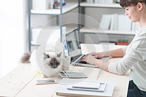 Woman working at desk with her cat