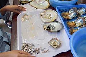 Woman working on extracting pearls from oyster shells. Vietnamese factory near Ha Long Bay