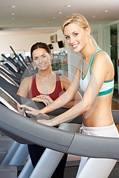 Woman Working With Female Personal Trainer