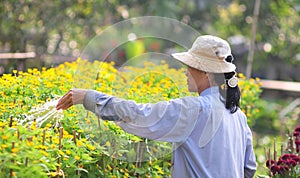 A woman working on flower field in Saigon, southern Vietnam