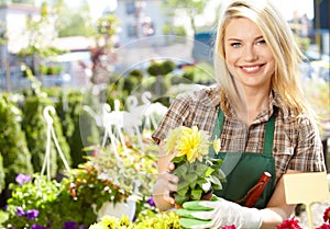 Woman working with flowers at a greenhouse.