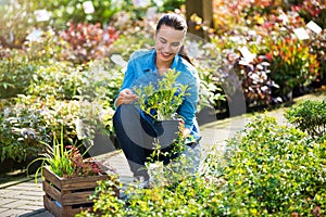 Woman working in garden center