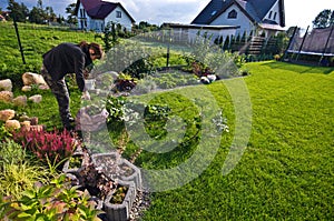 Woman working in a garden, cutting excess twigs of plants