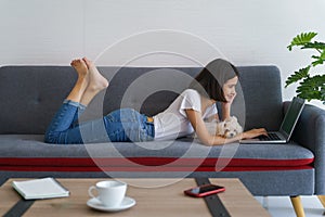 Woman working at home and having maltese puppy dog lying together