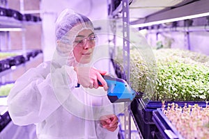 Woman Working in Nursery Greenhouse