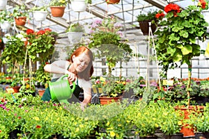 Woman working in a nursery - Greenhouse with colourful flowers