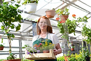 Woman working in a nursery - Greenhouse with colourful flowers