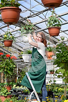 Woman working in a nursery - Greenhouse with colourful flowers