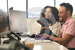 Woman Working In Office Based Business Training Man With Down Syndrome Holding Pet Dachsund Dog