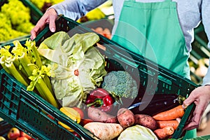 Woman working in organic supermarket putting veggies in a box