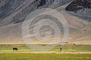 A woman working on pastures at the foot of the mountain