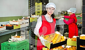 Woman working with selected apricots