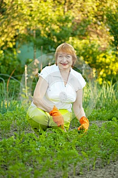 Woman working in vegetable garden