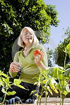 Woman working on vegetable garden in backyard