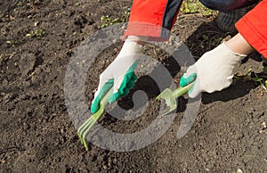 Woman working in your garden - preparing the soil for raised beds