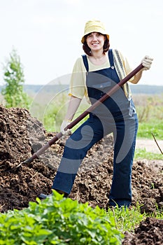 Woman works with animal manure