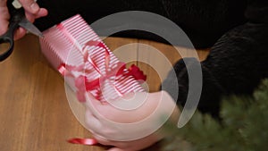 Woman wrapping a gift in stripped paper with red ribbon. Hands packing a box in the red and white christmas paper