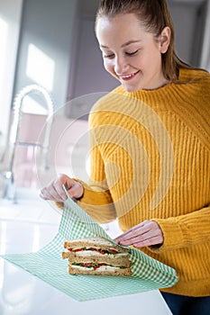 Woman Wrapping Sandwich In Reusable Environmentally Friendly Beeswax Wrap