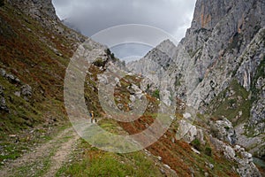 Woman with a yellow jacket and a dog walking on Ruta del Cares Trail in Picos de Europa national park, Spain