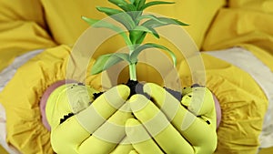 Woman in yellow protective suit holds in hands soil and green young plant