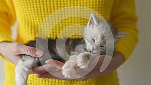 Woman in yellow sweater holding small kitten