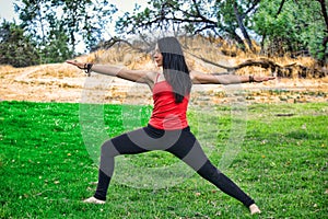 Woman Yogi Performs Warrior Pose in Park