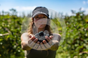 Woman in you pick blackberries farm