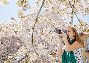 Woman young girl photographer taking shot of cherry tree blossom