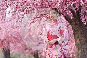 Woman in yukata kimono dress looking sakura flower or cherry blossom blooming in garden