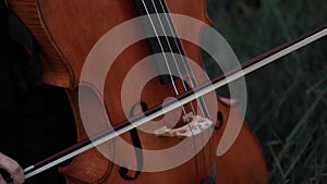 Woman ï»¿violoncellist plays the ï»¿violoncello on meadow at dusk.