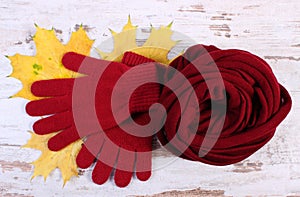 Womanly clothes and autumnal leaves on old rustic wooden background