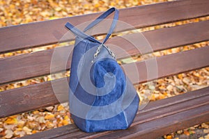 Womanly handbag on bench in autumn park