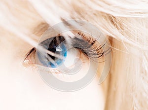 Womans eye in blue contacts