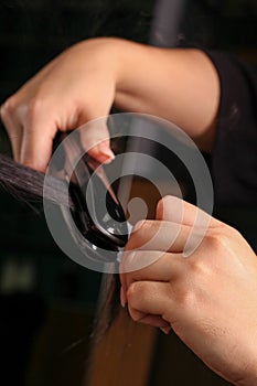 Womans Hair Stylist Cutting hair