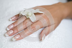 Womans hand and orchid