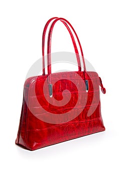 Womans handbag photo