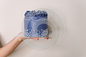 Womans hands showing plate with a cake. Female holding a homemade cake